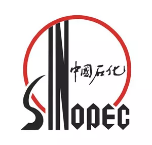 中国石油化工集团有限公司项目