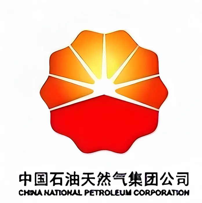 中国石油化工集团有限公司项目